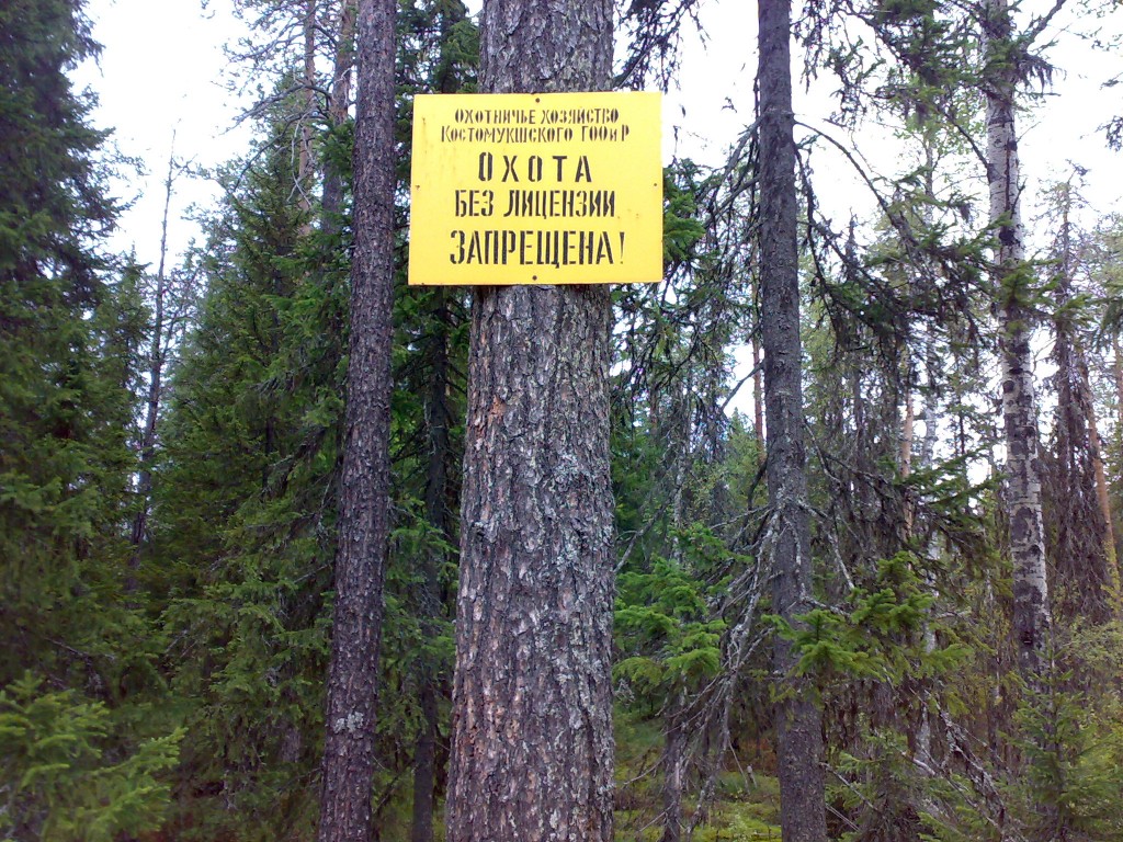 запрещена охота и рыбалка в заповеднике запрещена неймется да рыбная ловля на заповеднике